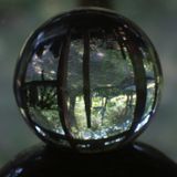 Looked Into My Glass Sphere . . . 08.11.2015