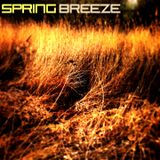 Spring Breeze