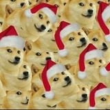 Hectic! 3 - Wow, such jolly!