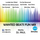 Wanted Beats Fun Mix 2013 January Mixed By Dj. Paul