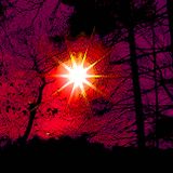 the Midnight Sun