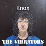 Knox of The Vibrators
