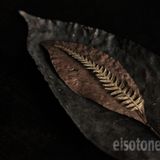 EisOtones Vol.6 - July 2013 - A World Traditional Journey (I)