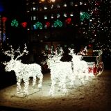 Scottish Fiction - 19th December 2012