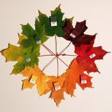 The Dvj M Doussare - Autumn Mix