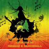 The Voice of Underground-episode 24 –Reggae & Dancehall –guest Jahmmi Youth