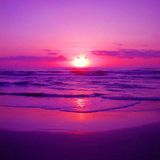 Trailoka (Hypnotique Dubai / Omveda Records) Psychedelic Progressive mix 2013