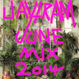 jaytram june mix 2014