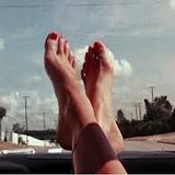 Sunny Trip