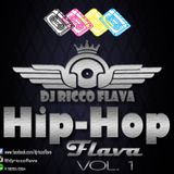 Hip-Hop FlaVa Vol. 1