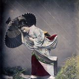 26 umbrella