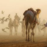 Sorian - Walking In The Desert Set