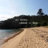 DJ Terrarin - Lălăială cu Bass