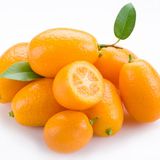 Qumquat Quandry