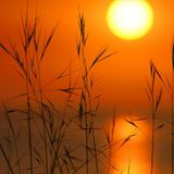 Sunset Tribal@mixed by dj Wilson.k