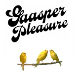 Riso @ Gaasper Pleasure 2014 (mainstage)