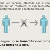 Entrevista a Alcira Ferreres (Jefa de Epidemiología en el Hospital Penna) por casos de Dengue.