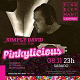 Simply David @ Pink Elephant Campinas - Brazil 7 November 2014