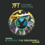 Honey, I shrunk the dancehall