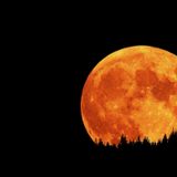 Astronomia politică şi venirea Domnului "La Ordinea Zilei"