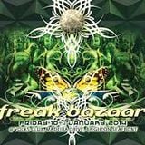 Freak Bazaar @ Volks. Basement set. 10/01/14