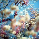 The Cinematic Orchestra - Novamix, 2002-05-14