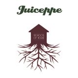 JUICEPPE - The Roots of House