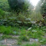 uit het radio archief...solstice 2011