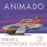 ANIMADO - TRIBUTE 2 FOOTWORK JUNGLE '13