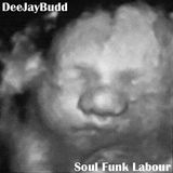 DeeJayBudd - Soul Funk Labour