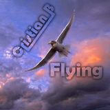 Flying