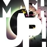 Best of Party Mashup Remix Dance Mix