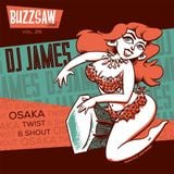 Buzzsaw Joint Vol 26 (DJ James)