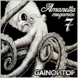 Gain on Top - Amanetta Megamix vol. 7