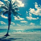 Magik Moments Soliman bay 2013 Mexico