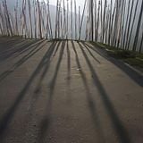 Shadows of Light