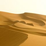 denny viciouz_shes like sand
