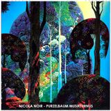 Nicola Noir: Purzelbaum Musikturnus