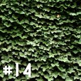#14 Willkommen im Efeu Klub Januar MIX 2014