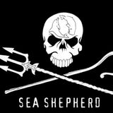 In conversation with Captain Paul Watson