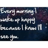 Morning Glory