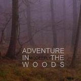 MODEEPLY - ADVENTURE IN THE WOODS dj-set 23/06/2013