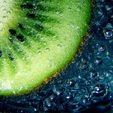 Aqua - Elixir Of Life