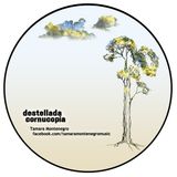 Destellada Cornucopia _ tamaraMontenegro