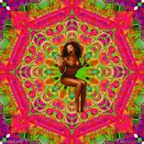 tribal tech techno house HIBRIDO by dj san zalo