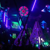 GOA Acid 2013
