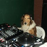 CLASICOS VARIOS - DJ BRUNO DS