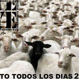 mixtrack do not follow the herd, hey you!!