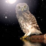 Eulenspiel - One for the Sun (Dj-Mix)