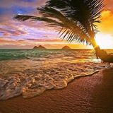 2 Vivendo a Vida In My Lounge Vol III by Gustavo Magoo